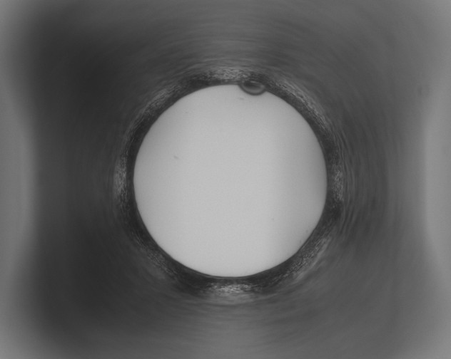 X0000100230407200806201448