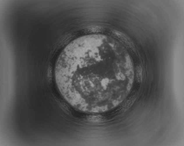 X0000100230410200806201448