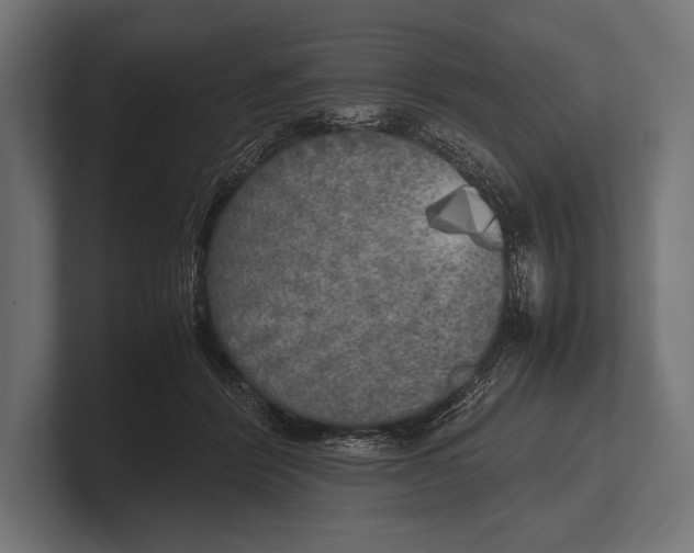 X0000100230412200806201448