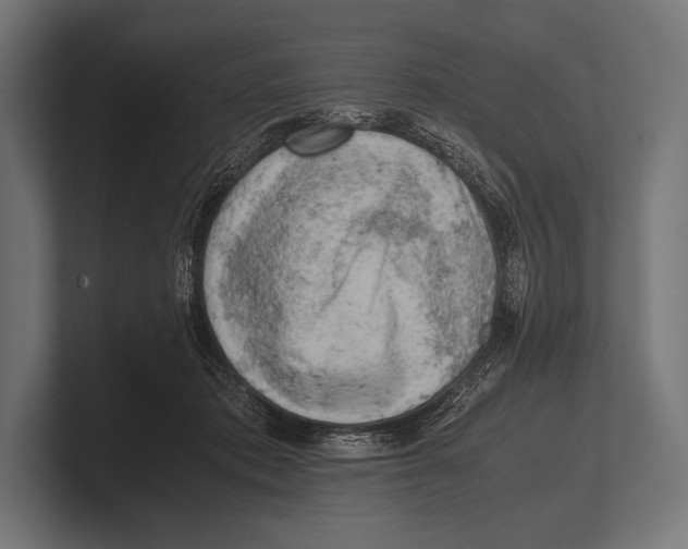 X0000100230413200806201448