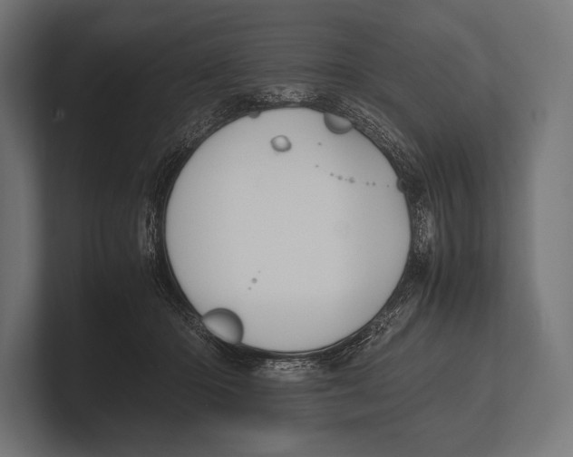 X0000100230414200806201448