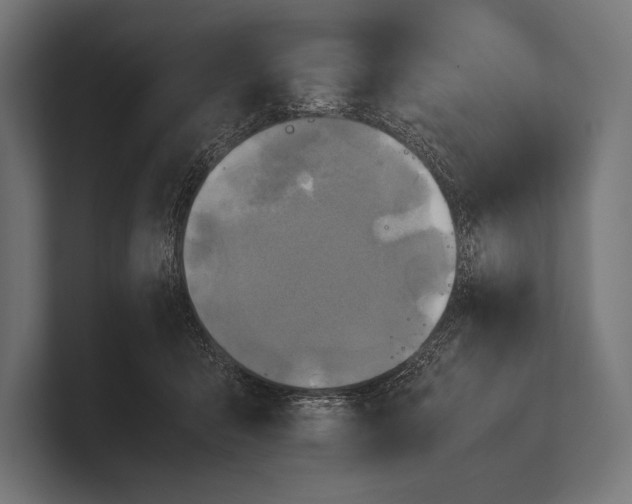 X0000100230415200806201448