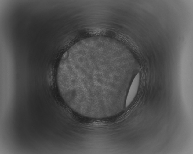 X0000100230416200806201448