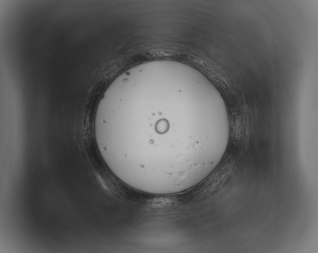 X0000100230418200806201448