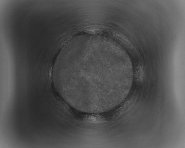 X0000100230420200806201448