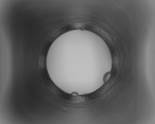 X0000100230421200806201448