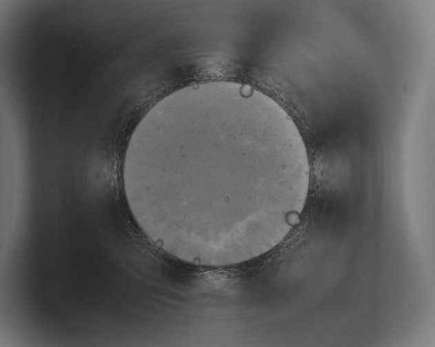 X0000100230423200806201448