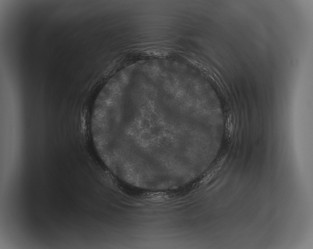 X0000100230424200806201448