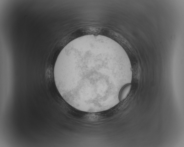 X0000100230425200806201448