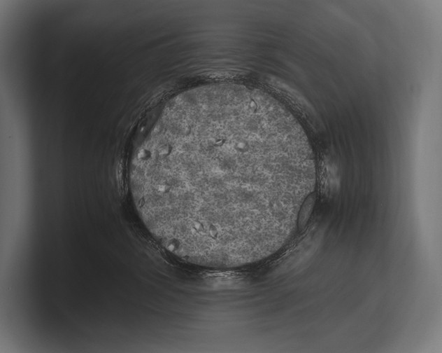 X0000100230428200806201448