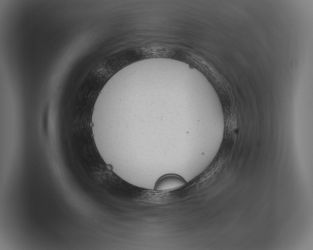 X0000100230429200806201448