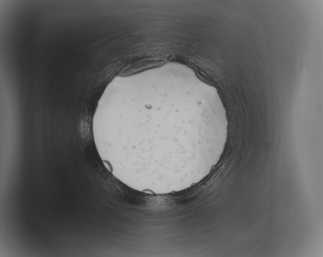 X0000100230432200806201448