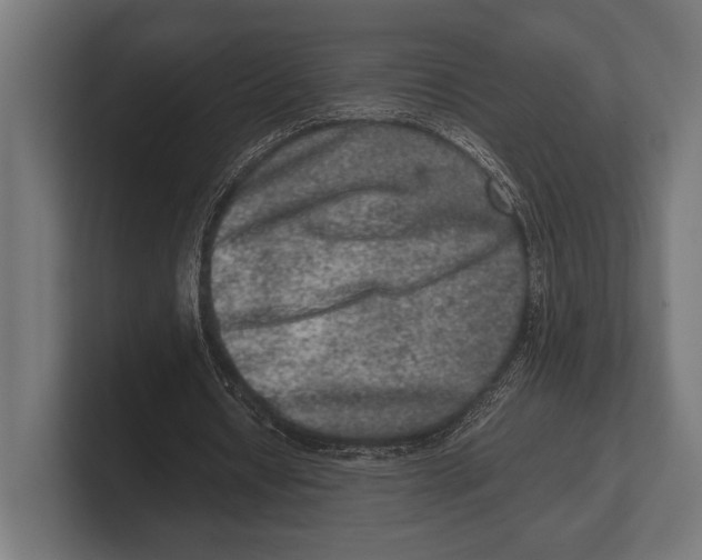 X0000100230434200806201447