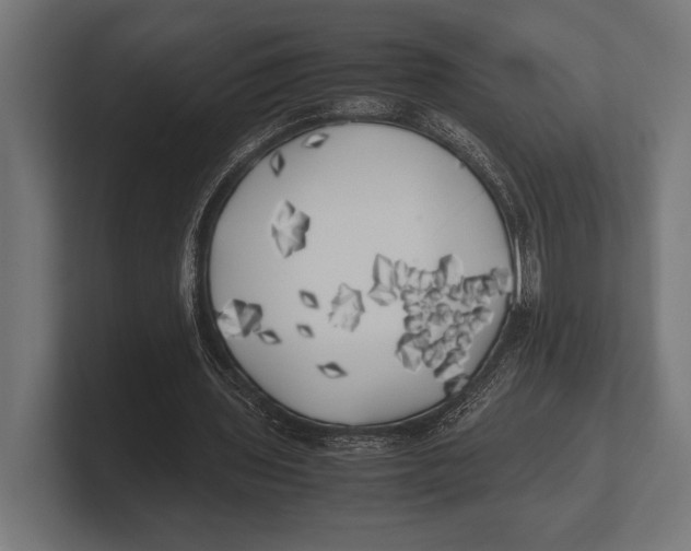 X0000100230435200806201447