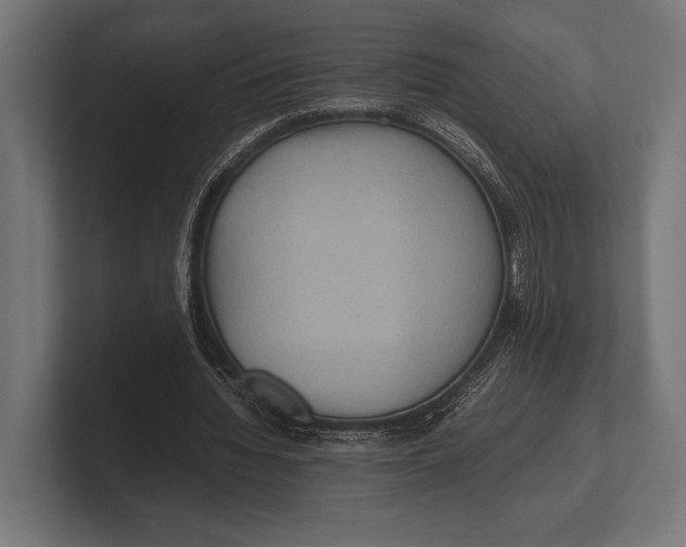 X0000100230436200806201447