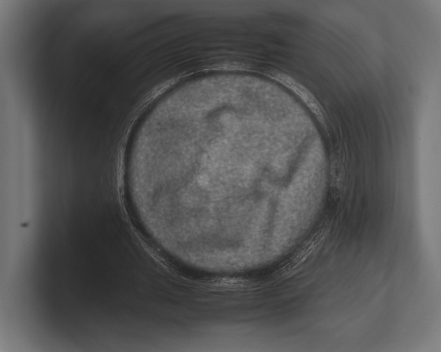 X0000100230437200806201447