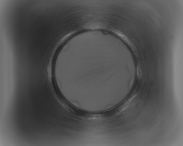 X0000100230438200806201447