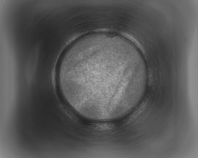 X0000100230439200806201447