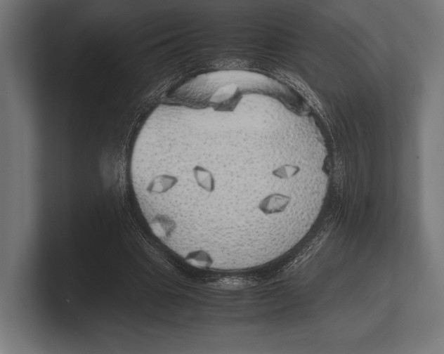 X0000100230441200806201447