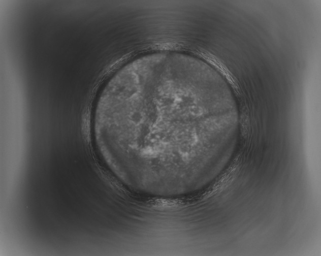 X0000100230442200806201447