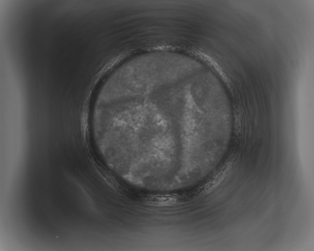 X0000100230443200806201447