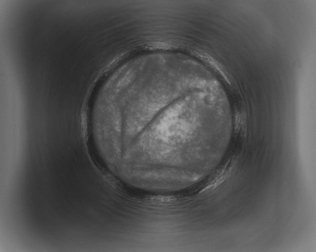 X0000100230444200806201447