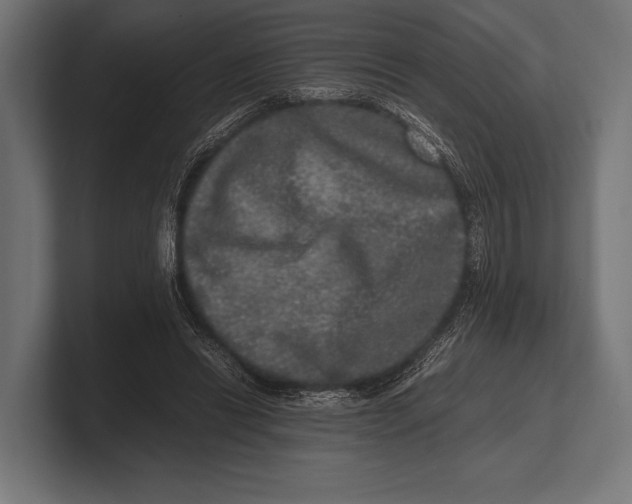 X0000100230446200806201447