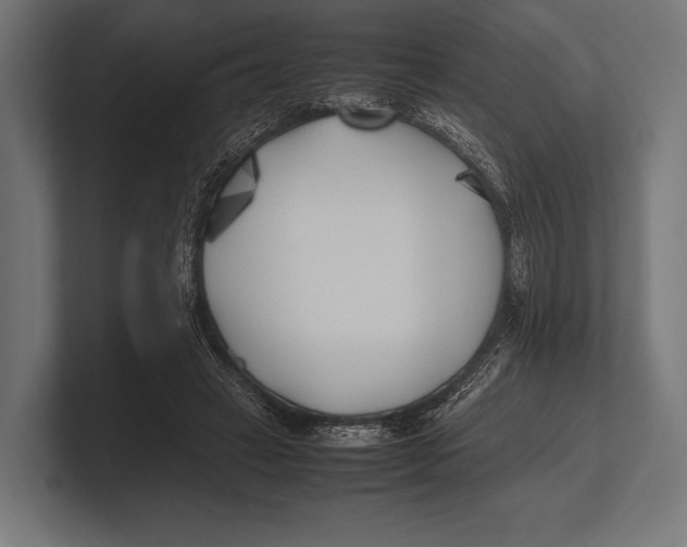 X0000100230449200806201447