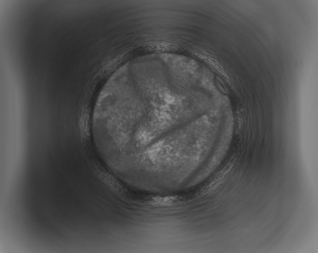 X0000100230450200806201447