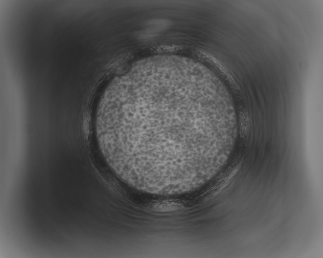 X0000100230451200806201447