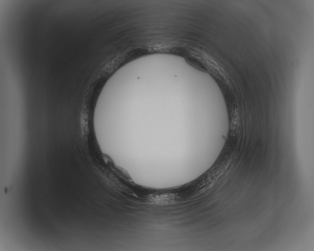 X0000100230452200806201447