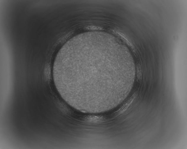 X0000100230453200806201447