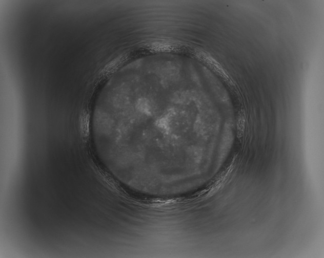 X0000100230454200806201447