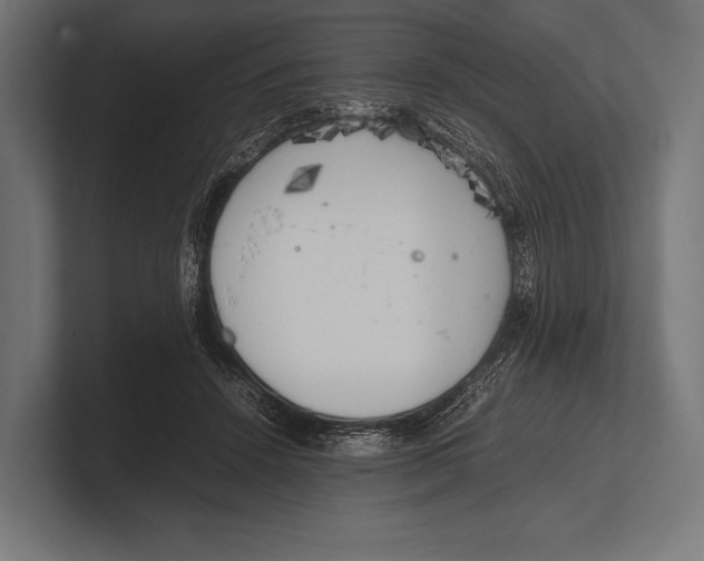 X0000100230456200806201447