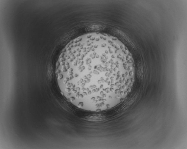 X0000100230459200806201447