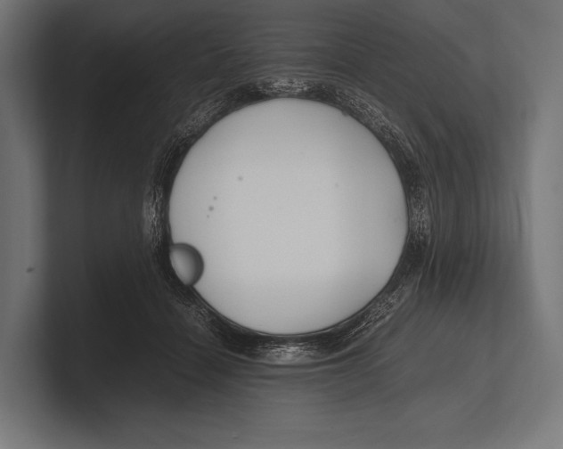 X0000100230460200806201447