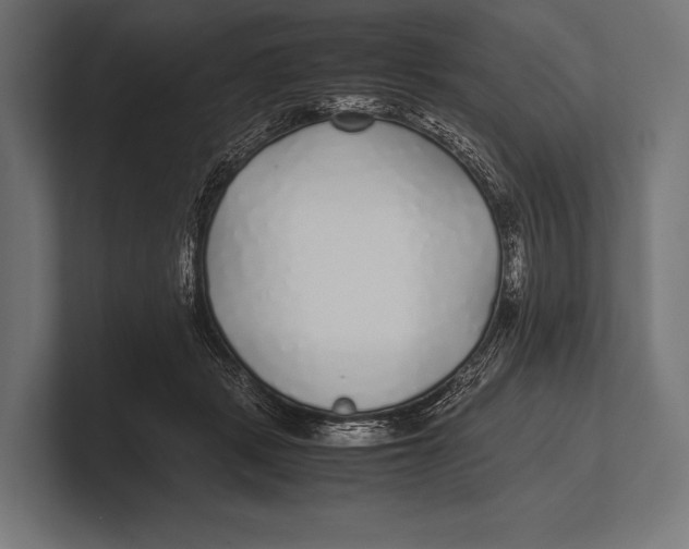 X0000100230461200806201447