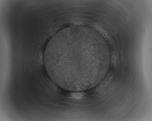 X0000100230465200806201447