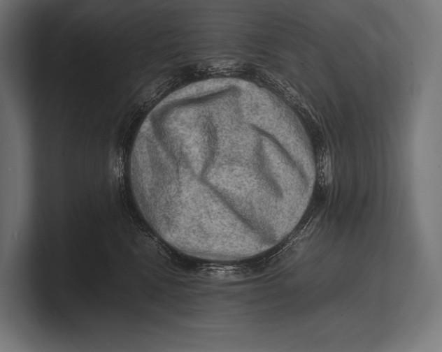 X0000100230472200806201447