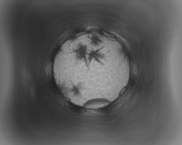 X0000100230475200806201447