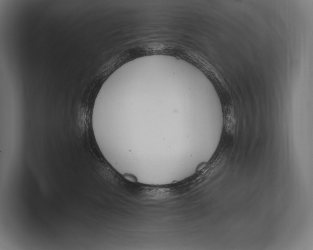 X0000100230476200806201448