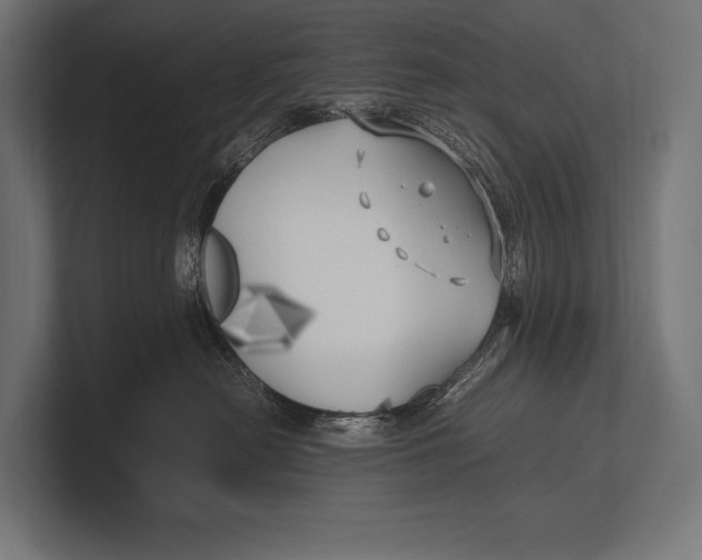 X0000100230478200806201448