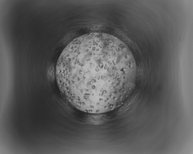 X0000100230479200806201448