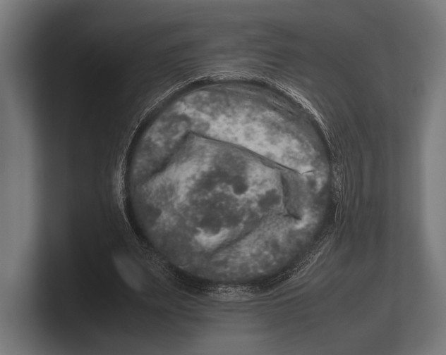 X0000100230487200806201447