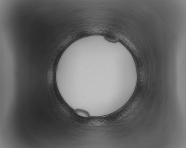 X0000100230489200806201447