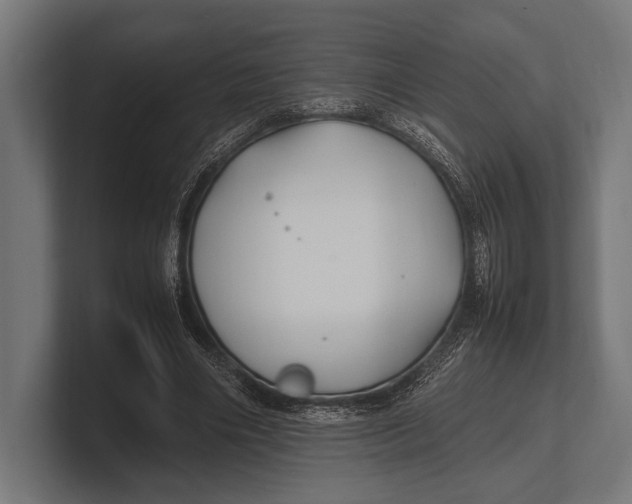 X0000100230490200806201447