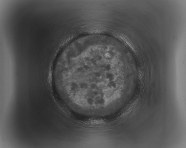 X0000100230491200806201447