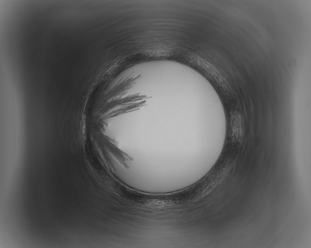 X0000100230494200806201447