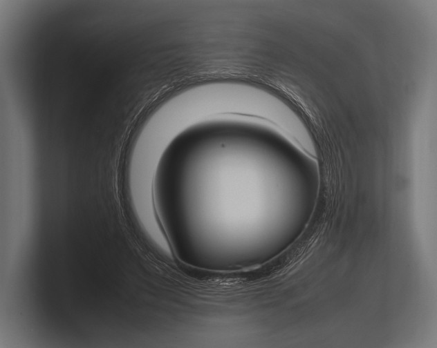 X0000100230495200806201447