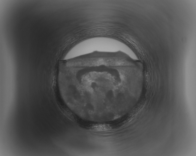 X0000100230499200806201447